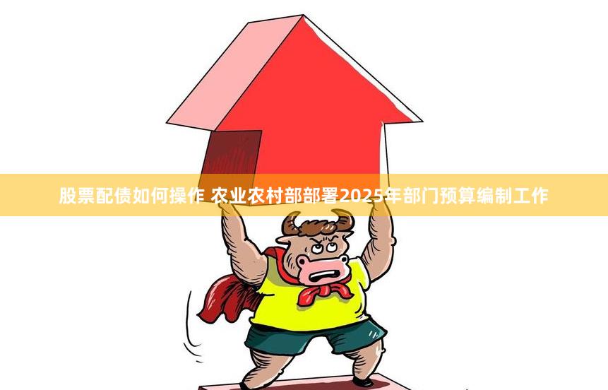 股票配债如何操作 农业农村部部署2025年部门预算编制工作