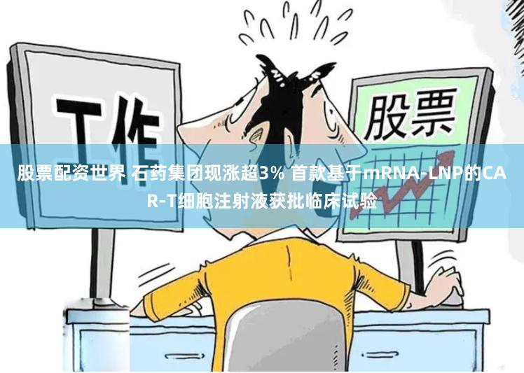 股票配资世界 石药集团现涨超3% 首款基于mRNA-LNP的CAR-T细胞注射液获批临床试验