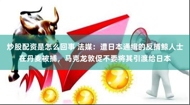炒股配资是怎么回事 法媒：遭日本通缉的反捕鲸人士在丹麦被捕，马克龙敦促不要将其引渡给日本