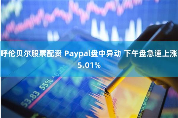 呼伦贝尔股票配资 Paypal盘中异动 下午盘急速上涨5.01%