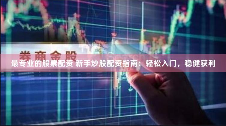 最专业的股票配资 新手炒股配资指南：轻松入门，稳健获利
