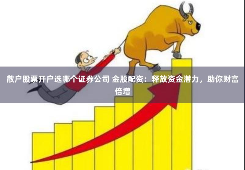 散户股票开户选哪个证券公司 金股配资：释放资金潜力，助你财富